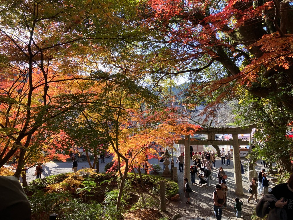 心温まる秋月の紅葉さんぽ