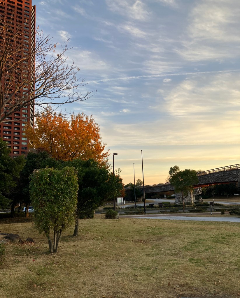 紅葉した木々と綺麗な夕暮れの空